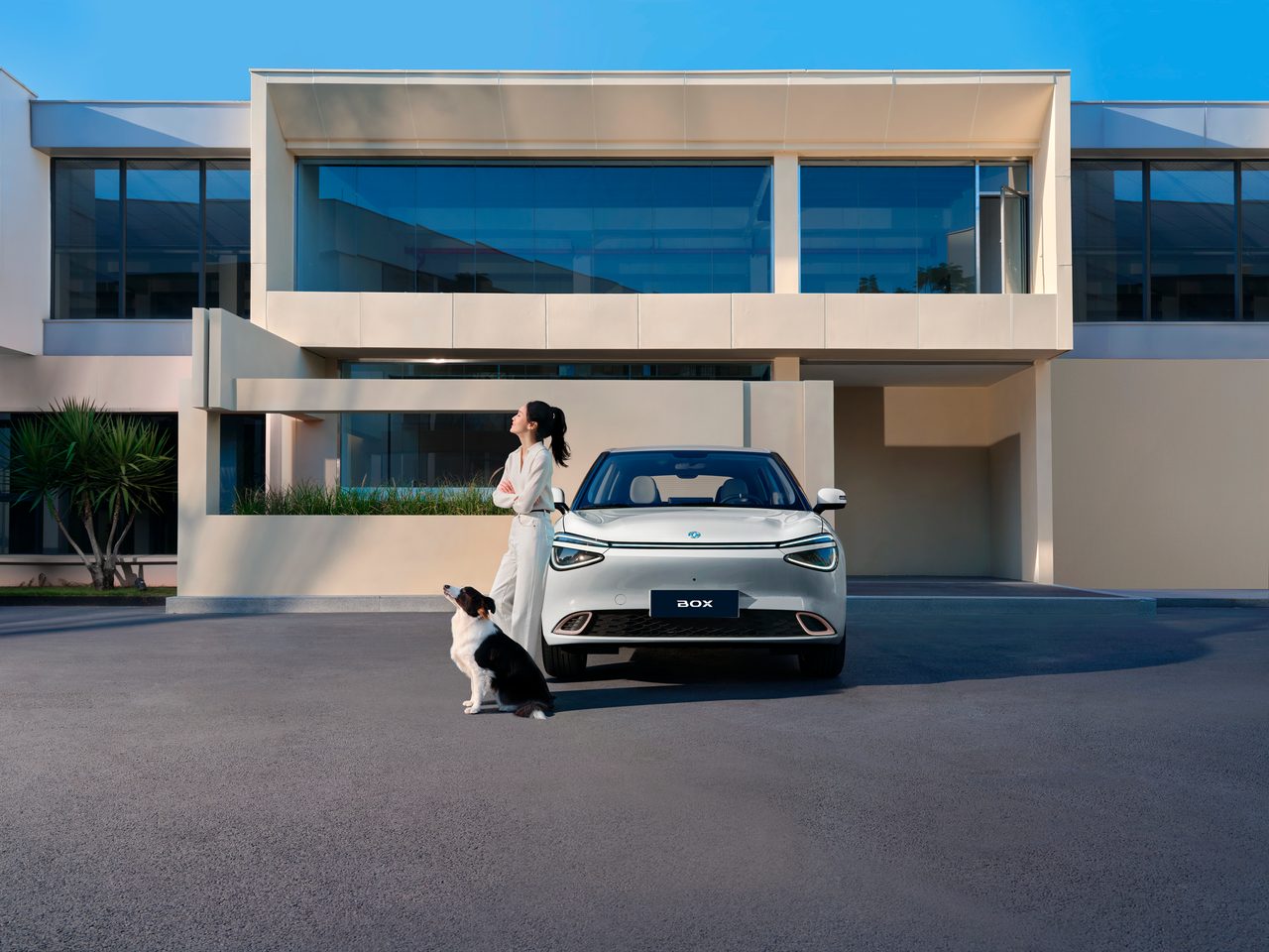 Dongfeng Box — foto 7